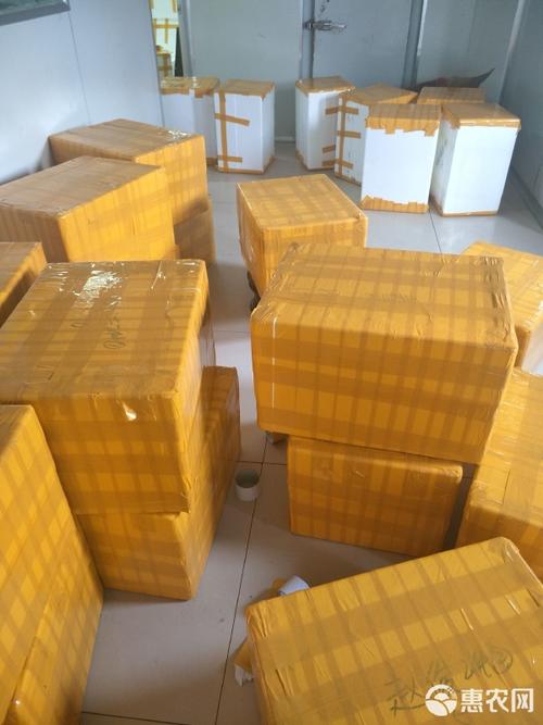 冷冻类型冷冻低温存储包装(预包装食品)包装方式鸭肠品种名3